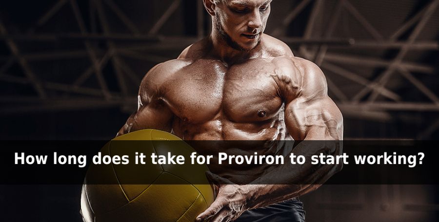 Proviron Remark Amount, Schedules, Ill-effects, Both before and after Overall performance